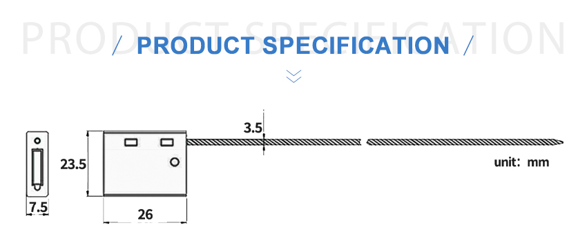 CS-D05_02.jpg