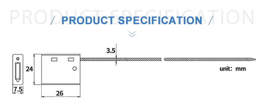 CS-D08_02.jpg